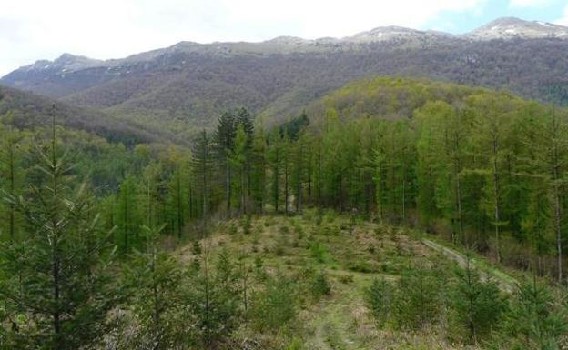 Dos testigos sitúan al ganadero acusado del incendio en Aizkorri en su casa a la hora del siniestro