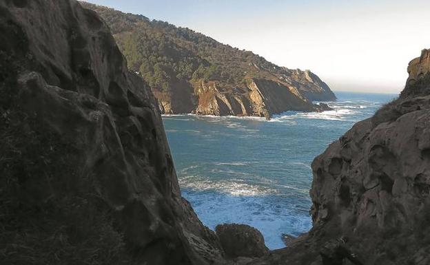 Un baño de bosque en Ulía