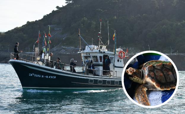 La tortuga 'Elkano' vuelve al mar