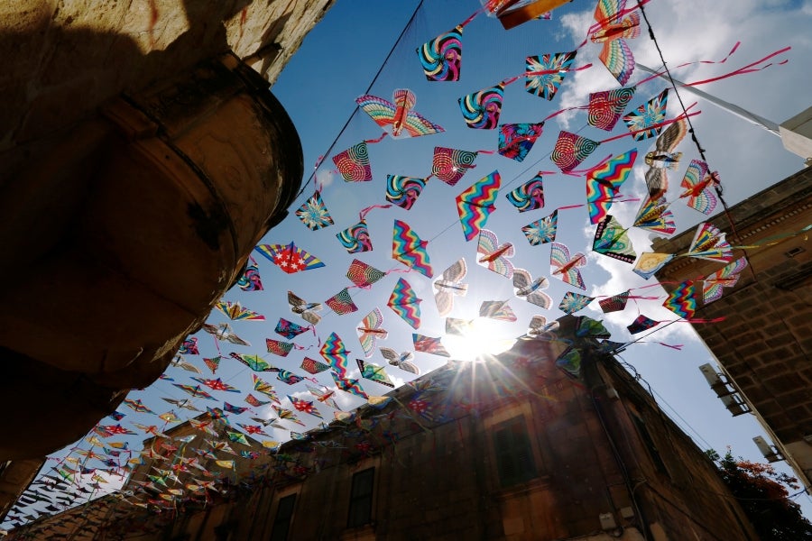 Vuelo de las cometas