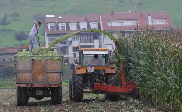 La PAC medioambiental, uno de los retos pendientes de la nueva Comisión