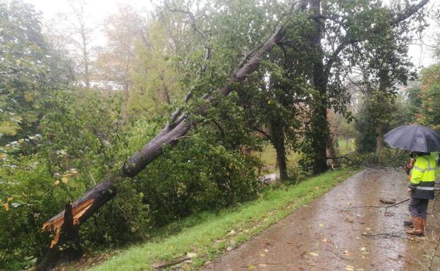 El Paseo Nuevo y parques de Donostia seguirán cerrados hasta completar su limpieza
