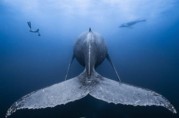 La denuncia ecológica y un Txikiciclo familiar impulsan el Cimasub