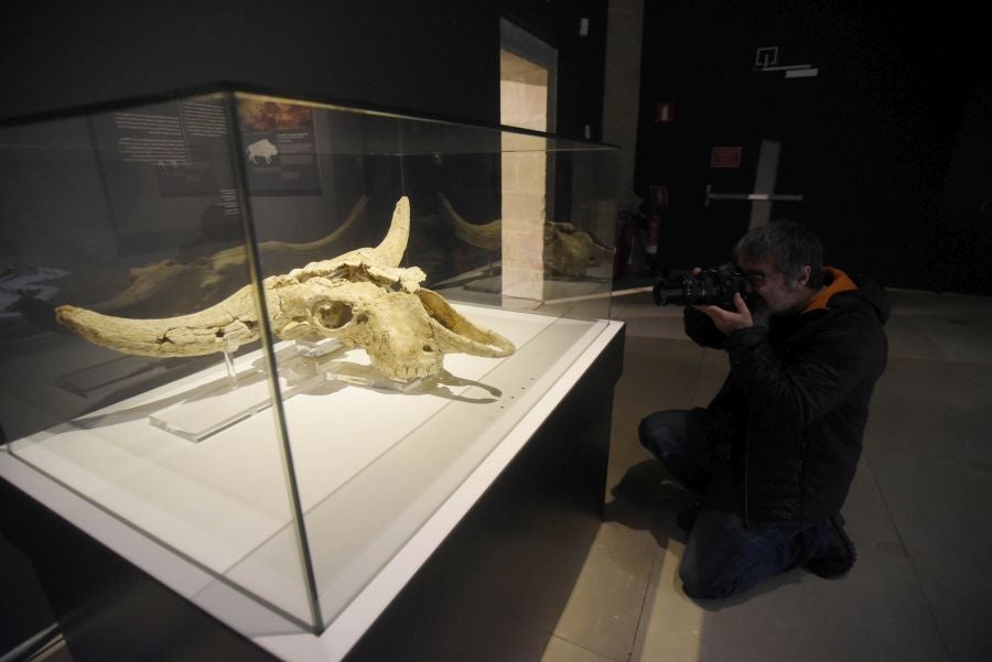Los hallazgos del yacimiento de Kiputz, en San Telmo