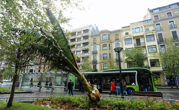 Aviso amarillo este viernes por rachas de viento de más de 100 kilómetros en Gipuzkoa