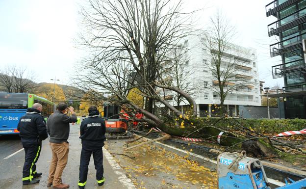El fuerte viento provoca decenas de incidentes en la costa de Gipuzkoa