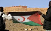 Parlamentarios vascos desoyen la alerta del Gobierno y viajarán al Sáhara pese al riesgo de «un grave atentado»