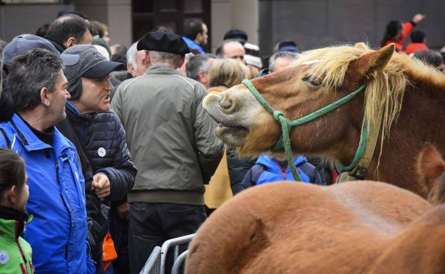 La feria de Santa Lucía apuesta por la hacienda de caballos y la artesanía