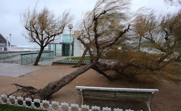 El viento provoca centenares de incidencias en Gipuzkoa