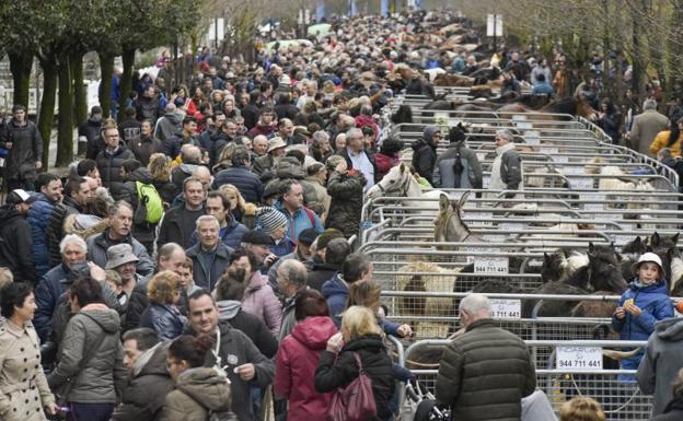 Los caballos ganan protagonismo en la feria de Santa Lucia