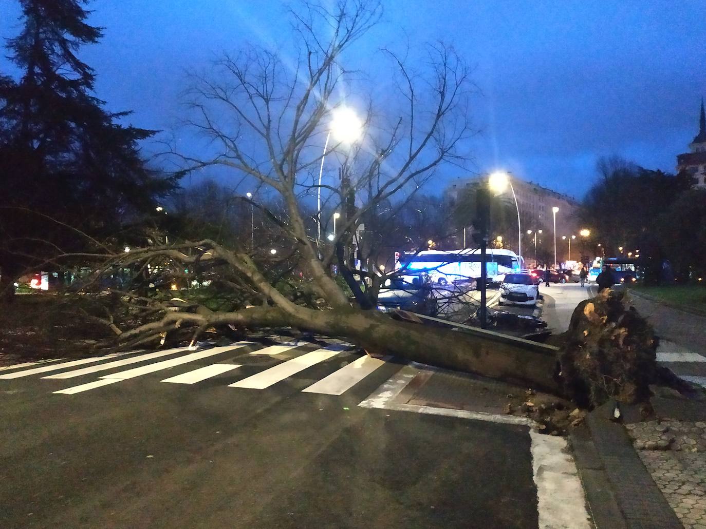Numerosas afecciones en Gipuzkoa por el viento