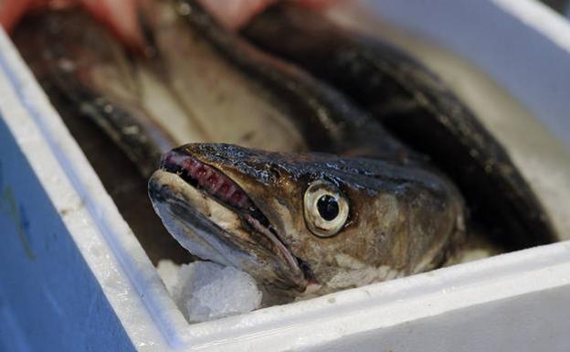 Los 28 negocian unas cuotas de pesca en la UE para 2020 que perjudican a los arrantzales