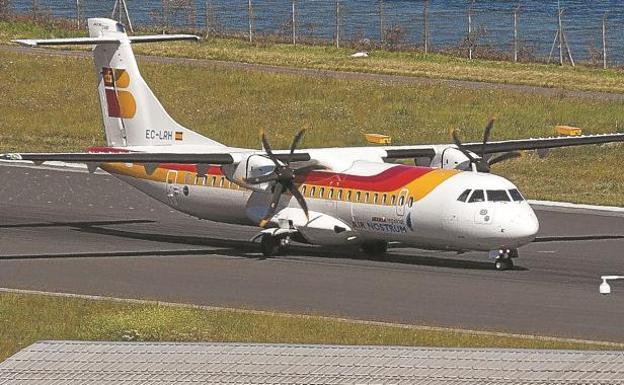 Otro impacto de ave deja en tierra un avión en el aeropuerto de Hondarribia
