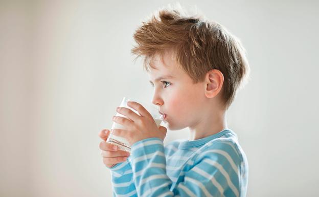 Diez mitos sobre la leche