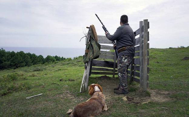 El Parlamento Vasco aprueba por unanimidad la prohibición de cazar en el monte Ulía