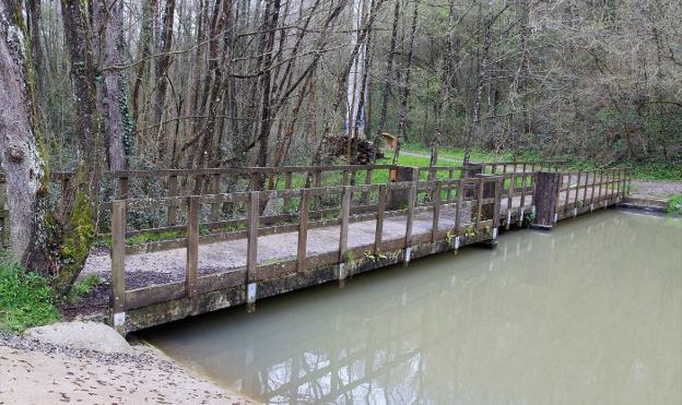 «El bosque de Miramon debe rematarse»