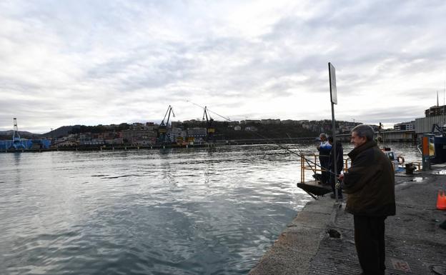 Máximas de 20 grados en Nochebuena y Navidad en Gipuzkoa