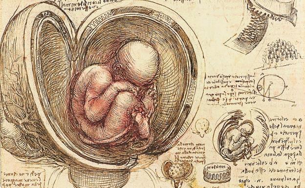 El laboratorio de Leonardo, como nunca se ha visto