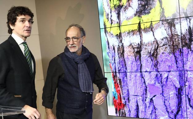 La 'peste del pino' obliga a trasladar el Bosque de Oma