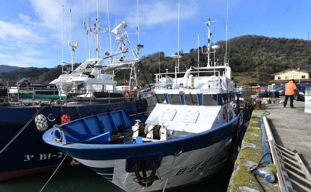 El pesquero híbrido vasco, más cerca