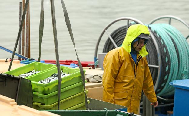 No habrá anchoa del Cantábrico a lo largo de tres semanas