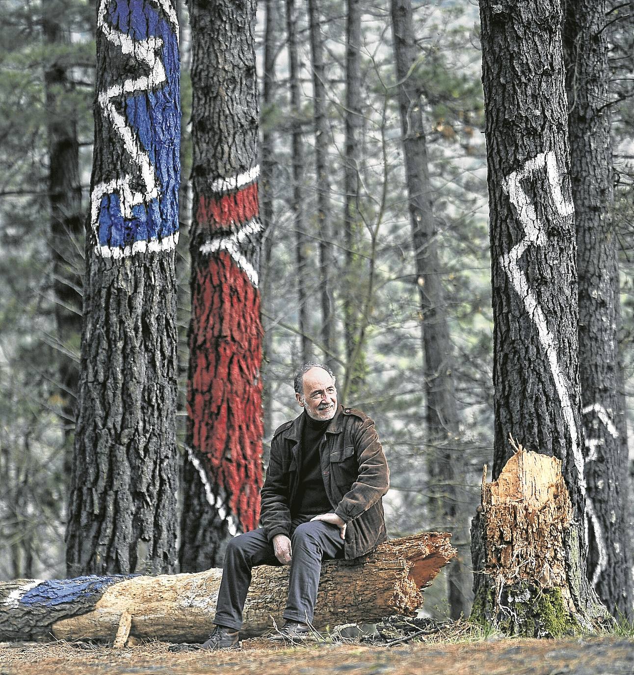 Adiós al viejo bosque