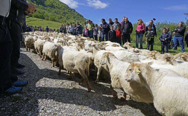 Subida a los pastos sin mucha fiesta