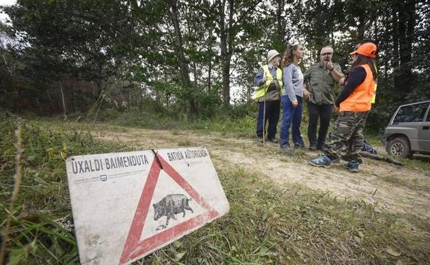 El Gobierno recomienda el control de jabalíes para evitar daños y enfermedades