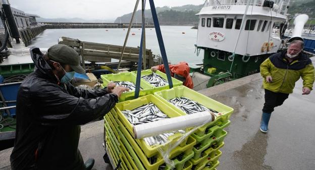 Los arrantzales encienden la alarma por el precio de la anchoa en su primera descarga