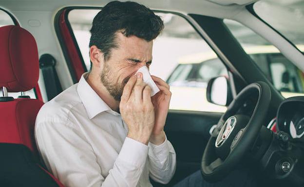 Alergias, cuidado en el coche