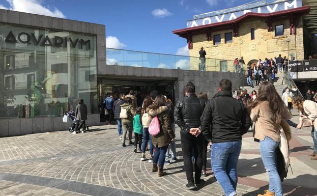 Los museos reforzarán su oferta para el público local ante la ausencia de extranjeros