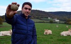 Peio Etxeberria muestra una pelota rodeado de sus vacas en las inmediaciones de Zenotz, su localidad natal./ZABAL