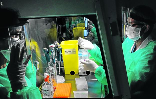 Así es un laboratorio del Covid-19