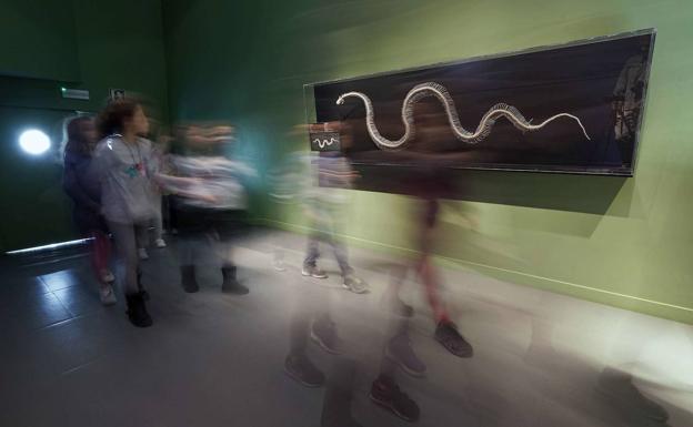 Eureka! será el primer museo guipuzcoano en abrir sus puertas