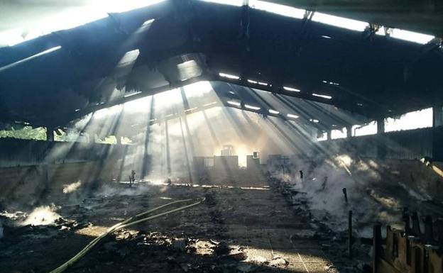 Cerca de un centenar de ovejas mueren por un incendio en un pabellón de Errezil