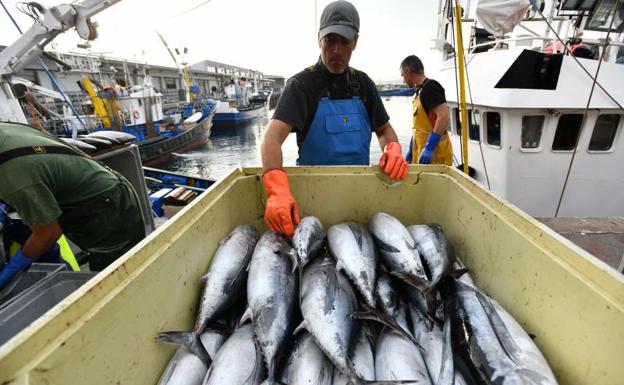 El precio del bonito se mantiene bajo ante la escasa demanda de las conserveras