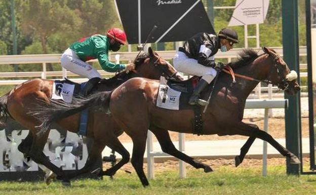 'Céfiro' sobresale en la vuelta de la afición a las gradas de La Zarzuela