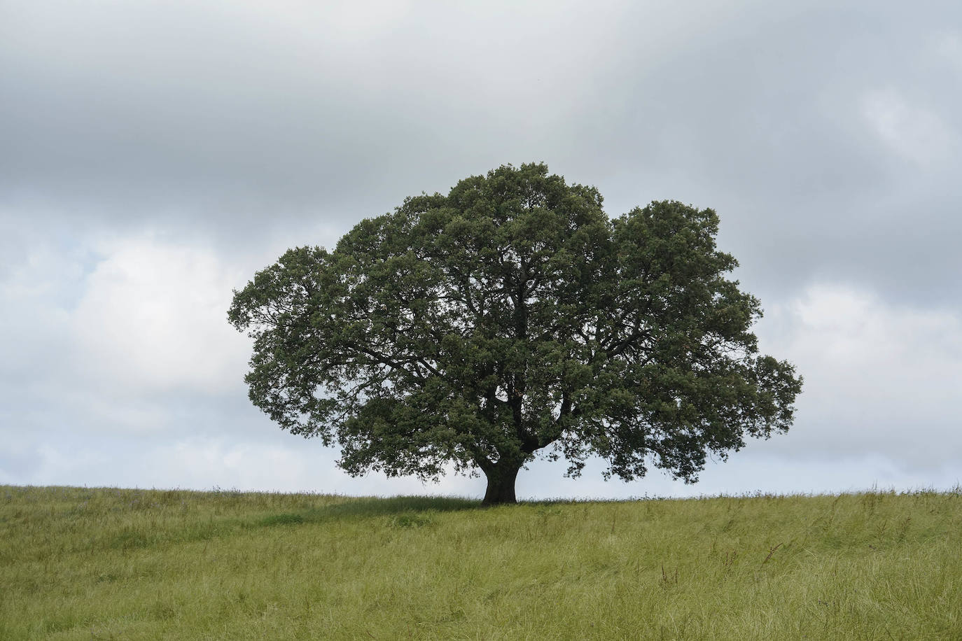 A ambos lados del Urola
