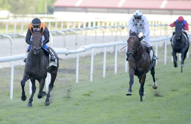 'Doctor Oscar' da un gran sabor al verano donostiarra