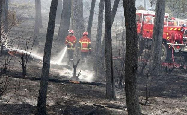 Investigan las causas del incendio que ha arrasado la mitad del bosque de Chiberta en Anglet