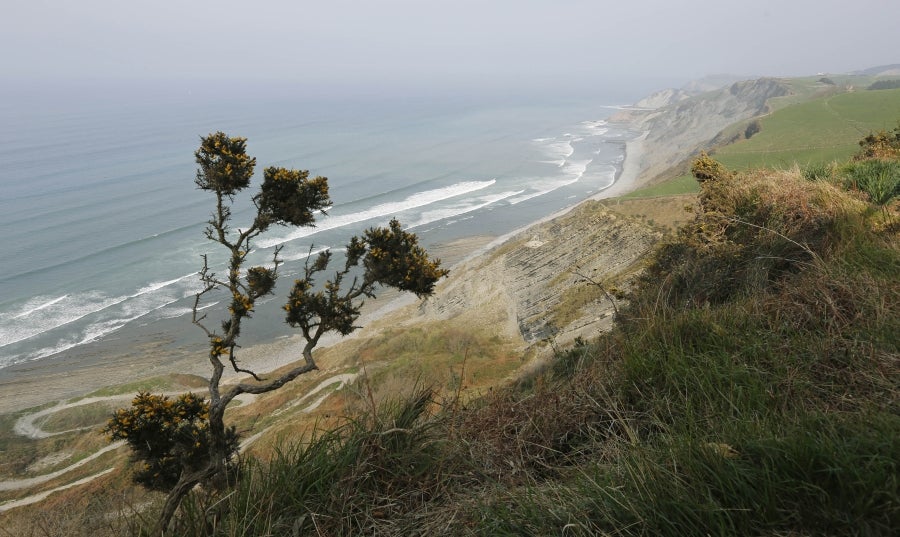 Un paseo por Gipuzkoa: Zumaia