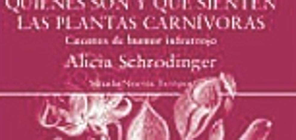 Humor negro sui generis