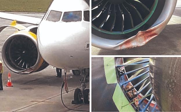 Un avión choca con un buitre cuando iba a aterrizar en Loiu