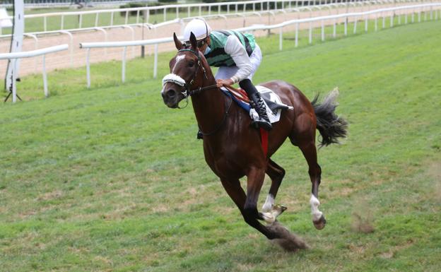 'Domi Go' es el indiscutible rey de los dos años