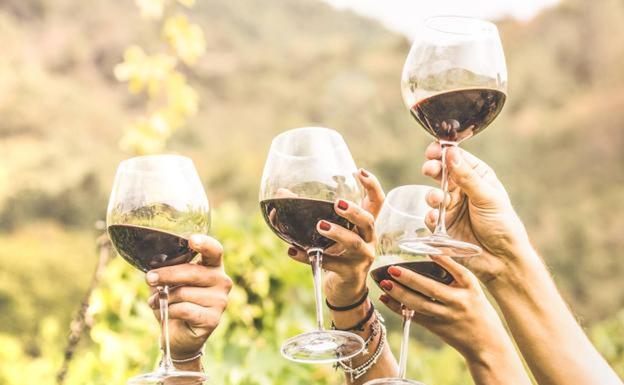 Nueve tintos que también son para el verano