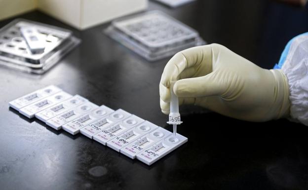 Euskadi registra 605 nuevos positivos, de ellos 165 en Gipuzkoa