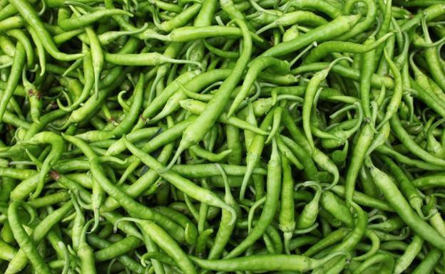 Piparra, la delicada guindilla vasca
