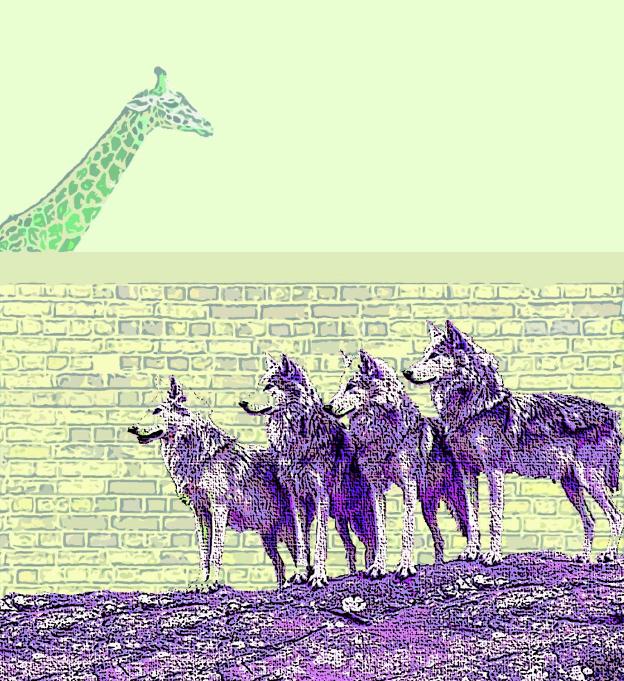 Más allá de la manada