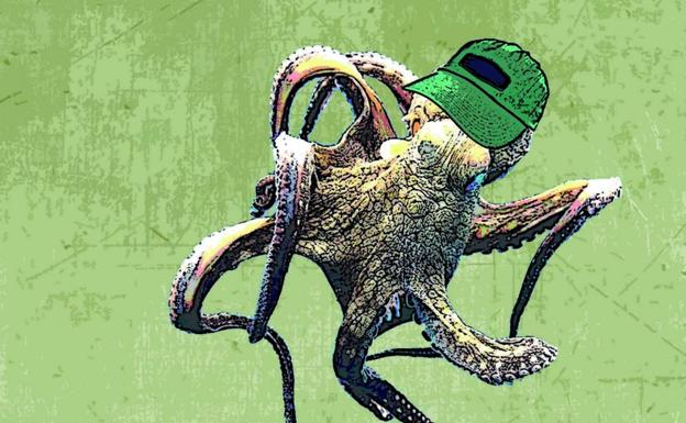 Neutralidad política