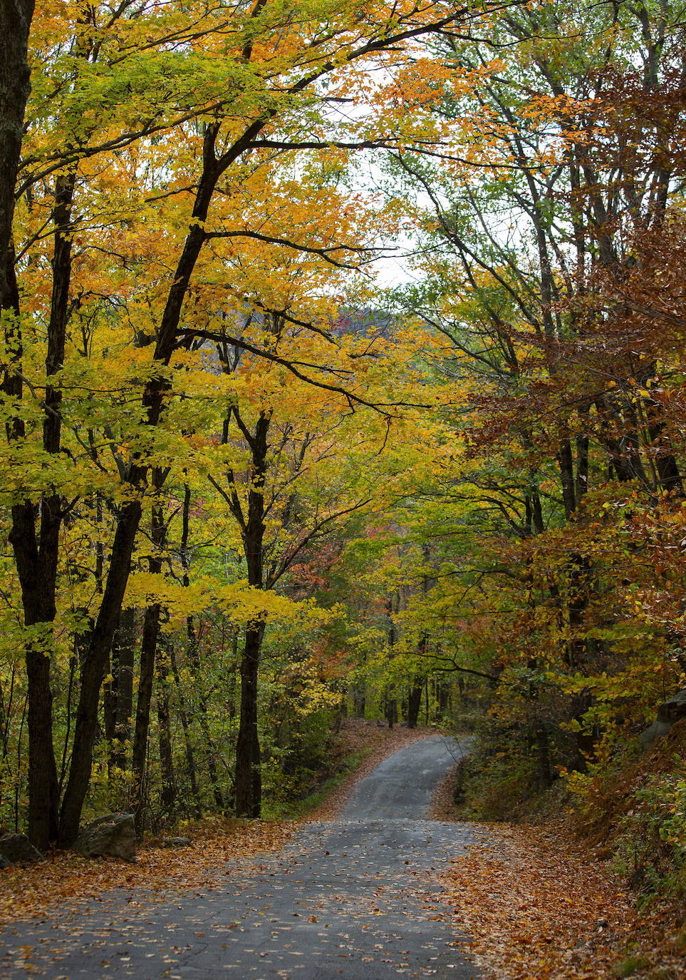 Fotos El color del otoño en Estados Unidos El Diario Vasco